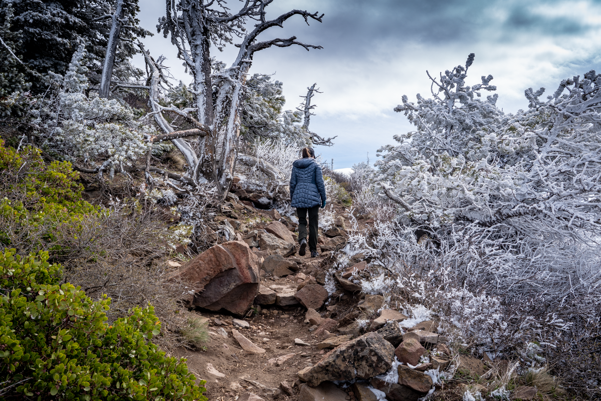 Black Butte Oregon