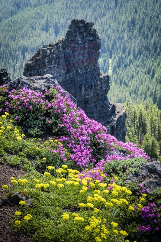 Cone Peak Trail